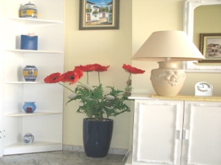 Picture of Nicely Furnished Interior